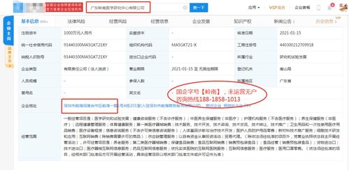 新材料技術推廣服務 連接創新與應用的橋梁