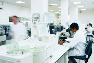 玫瑰綻放富陽，國妝筑夢未來 記杭州好公司的民族品牌之路